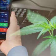 Best Cannabis Stocks To Watch In November Volatility