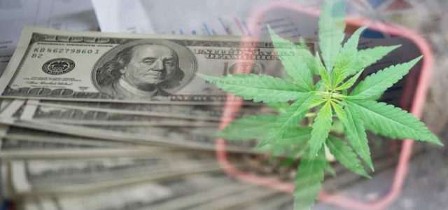 Best Marijuana Stocks To Watch In December Right Now