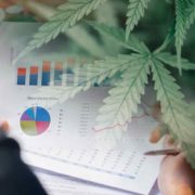 Looking For Long Term Cannabis Investments? 3 Marijuana REITs To Watch