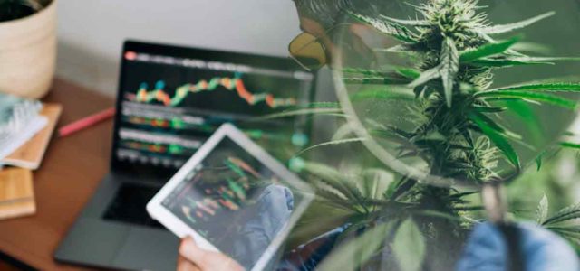 Looking To Invest In The Cannabis Industry? 4 Marijuana ETFs To Watch