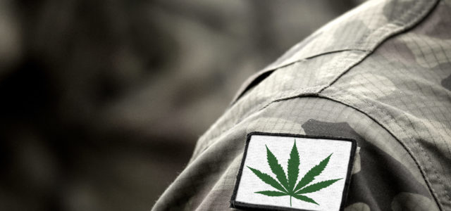 Marijuana businesses to offer free cannabis to Michigan military veterans
