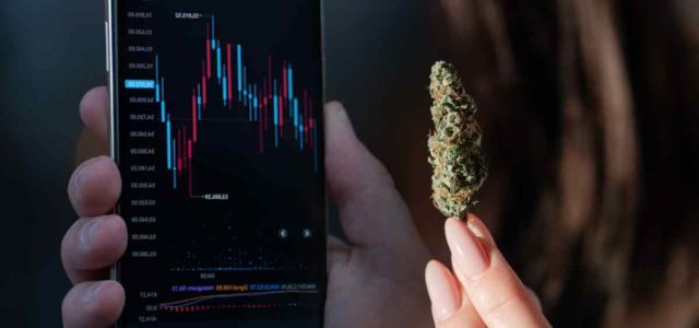 The Best Marijuana Stocks To Own In 2023?