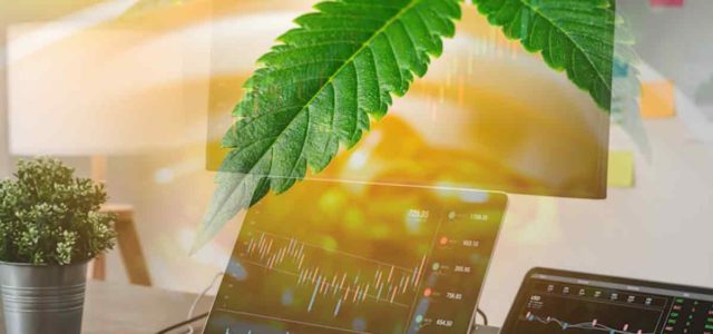 These Marijuana Stocks Could See Better Trading In 2023