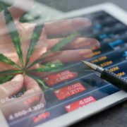Top Canadian Marijuana Stocks To Buy? 2 For List In December