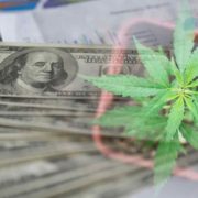 Top Cannabis Stocks To Buy Now? 3 US Penny Stocks To Watch
