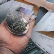 Top Marijuana Penny Stocks To Watch In December