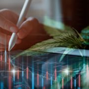 Top Marijuana Stocks To Watch This Month In The Stock Market