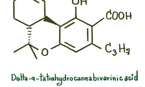 What looks like pot, acts like pot, but is legal nearly everywhere? Meet hemp-derived delta-9 THC