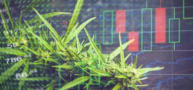 2 Marijuana Stocks To Buy During 2023?