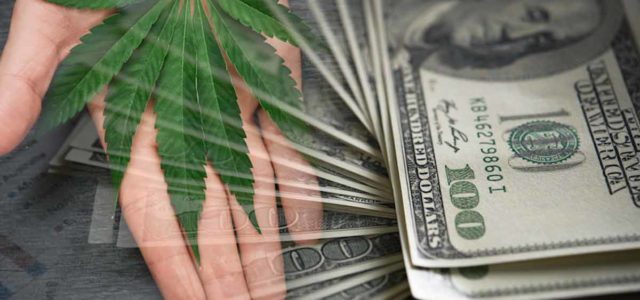 3 Marijuana Stocks To Buy Before The End Of The Week?