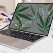 Are Canadian Marijuana Stocks On Your 2023 Watchlist?