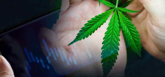 Are Marijuana Stocks On Your List For 2023? 2 Ancillary Pot Stocks To Watch