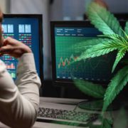 Best Canadian Marijuana Stocks To Buy Before 2023? 2 To Watch Now