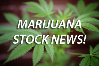 Best Marijuana Stocks To Watch Before Next Year