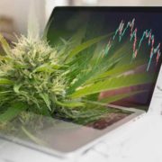 Cannabis Stocks Under $2 For December Watchlist