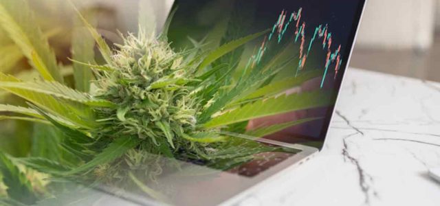 Cannabis Stocks Under $2 For December Watchlist