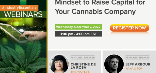 Committee Insights | 12.7.22 | How To Use A Marketing Mindset To Raise Capital For Your Cannabis Company