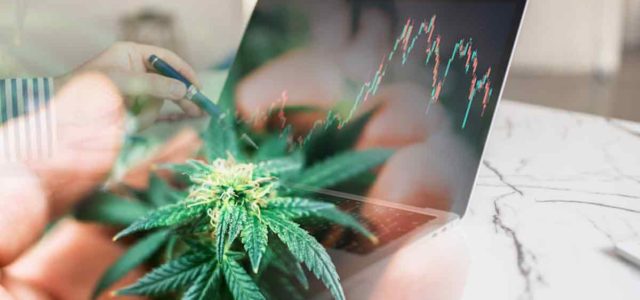 Looking For Top Marijuana Stocks For 2023? 3 In The Global Cannabis Market