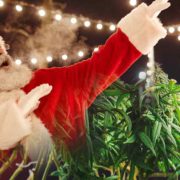 Marijuana Stocks To Watch To End The Holidays