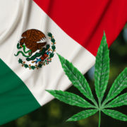 The Sinaloa Cartel is losing its marijuana business, and El Chapo’s sons are going after the ‘premium weed’ market to make up for it