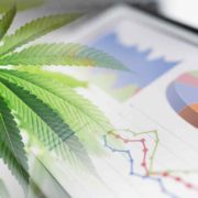 Top Marijuana Penny Stocks To Watch Before 2023