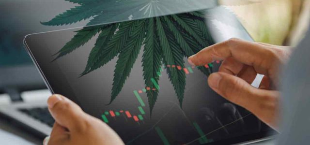 Top Marijuana Penny Stocks Under $1 To Watch In 2023