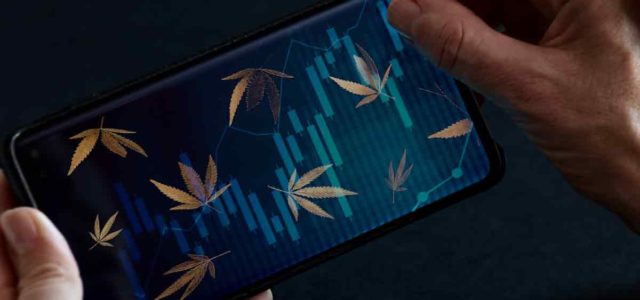 Top US Cannabis Stocks For 2023? 3 For Your Watchlist In January