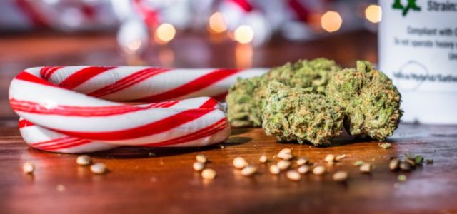 Will These Marijuana Stocks See Better Trading In 2023