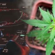 2 Marijuana Stocks For Your 2023 Trading Watchlist