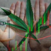 2 Marijuana Stocks That Investors Are Watching In 2023