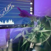3 Marijuana Stocks To Buy Today 2023?