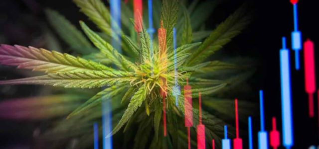 3 Marijuana Stocks To Watch During The 2nd Week Of 2023
