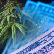 Are Cannabis Stocks A Buy In January? 2 Penny Stocks To Watch Now