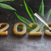 Are Marijuana Stocks A Buy In January? 3 To Watch Now