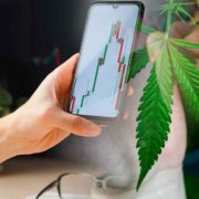 Best Ancillary Cannabis Stocks To Watch Mid-January 2023