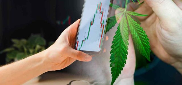 Best Ancillary Cannabis Stocks To Watch Mid-January 2023