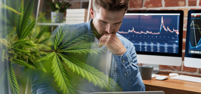 Best Ancillary Marijuana Stocks To Watch Before February 2023