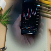 Best Canadian Marijuana Penny Stocks To Watch Today