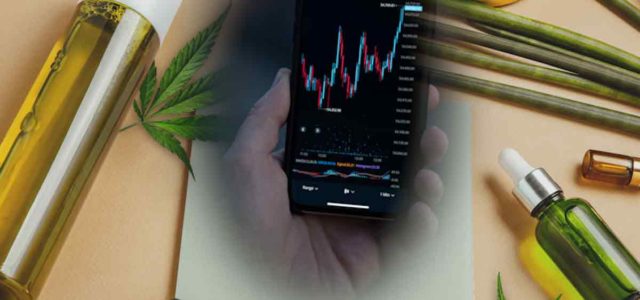 Best Canadian Marijuana Penny Stocks To Watch Today