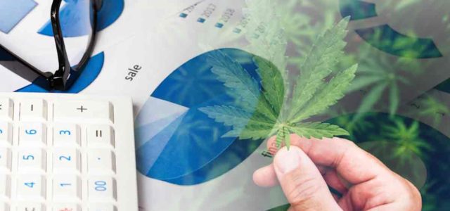 Best Cannabis Stocks To Buy? 3 Penny Stocks With Upside In January