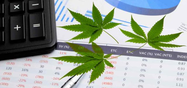 Best Cannabis Stocks To Watch In 2023? 3 Penny Stocks For January List
