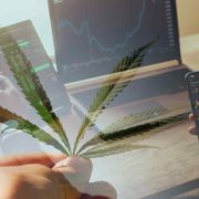 Best Marijuana Stocks To Buy? 3 Delivering Gains To Start 2023