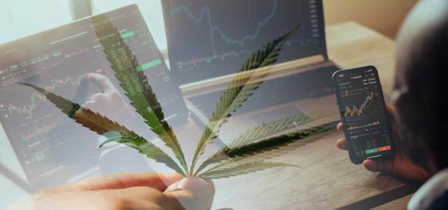 Best Marijuana Stocks To Buy? 3 Delivering Gains To Start 2023