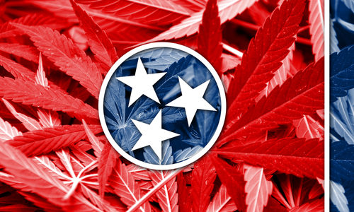 Democrats introduce bill to legalize marijuana in Tennessee, GOP likely to block it