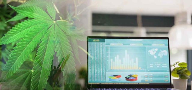 Marijuana Stocks To Watch In the Stock Market 2023