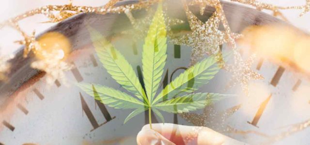 Marijuana Stocks To Watch To End The Year