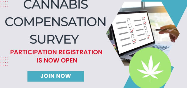 Member Blog: 2023 Cannabis Compensation Survey Announcement