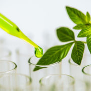 Member Blog: The Importance of Genetic Studies for Identifying Plant Mutations
