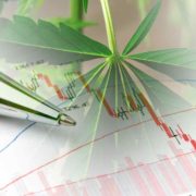 The Best Marijuana Stocks To Start 2023