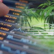 Top Ancillary Cannabis Stocks To Buy Or Watch? 2 For Your List Now